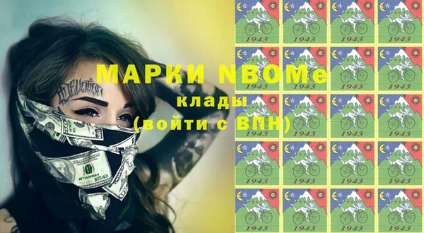 индика Балахна