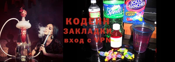 индика Балахна