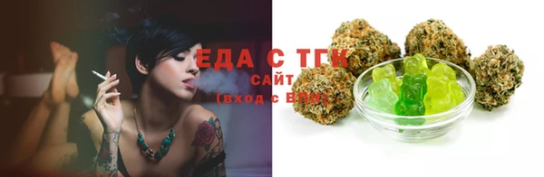 индика Балахна