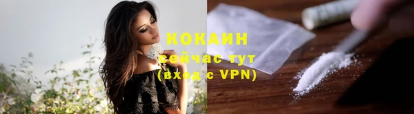 индика Балахна