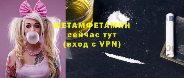 индика Балахна