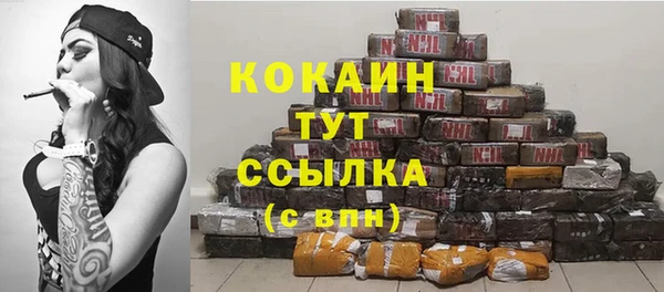 индика Балахна