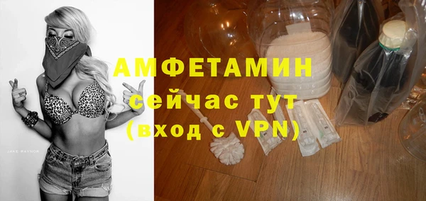 индика Балахна