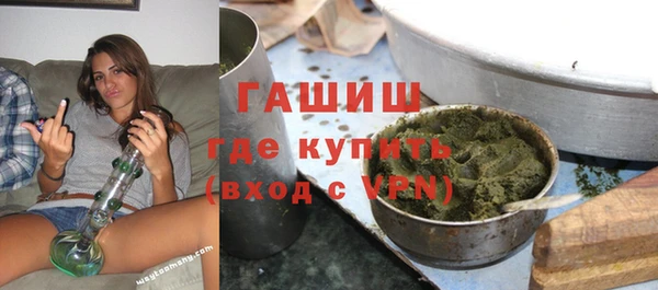 индика Балахна